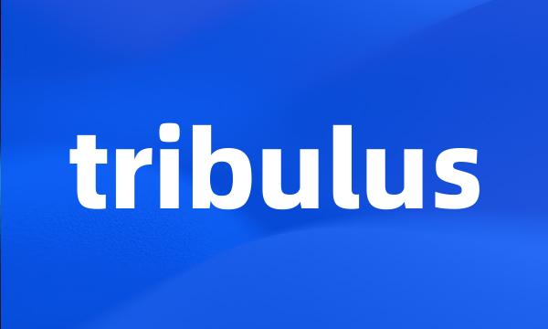 tribulus