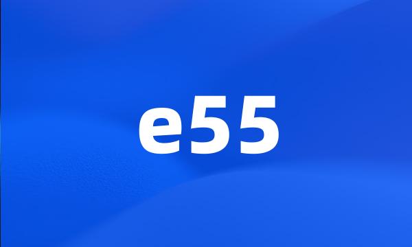 e55