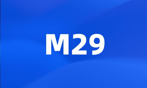 M29