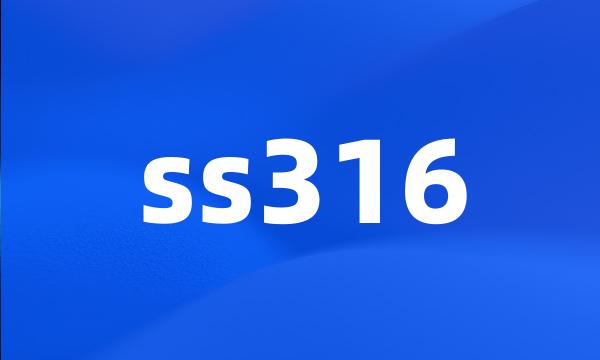 ss316