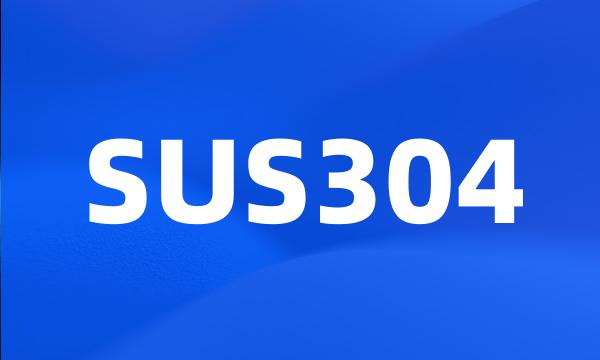 SUS304