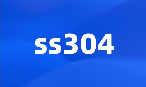 ss304