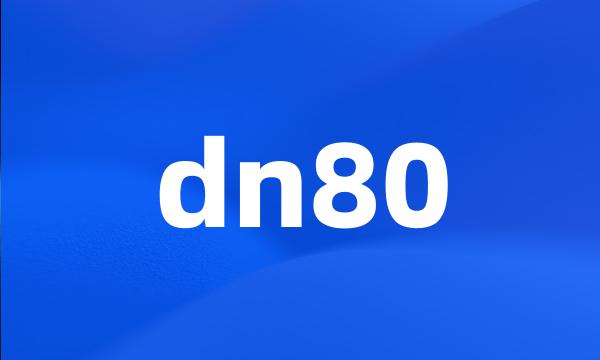 dn80