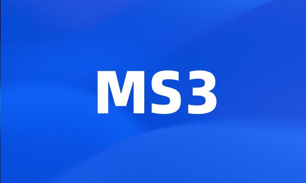 MS3