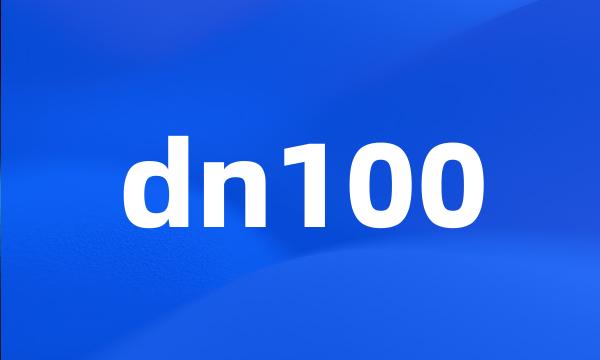 dn100