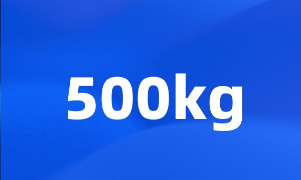 500kg