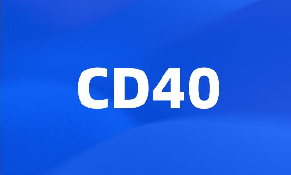 CD40