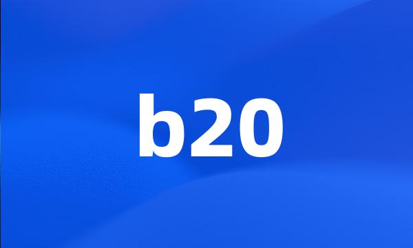 b20