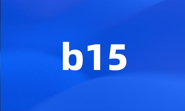 b15