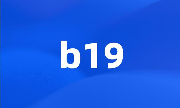 b19