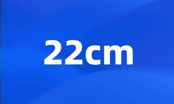 22cm