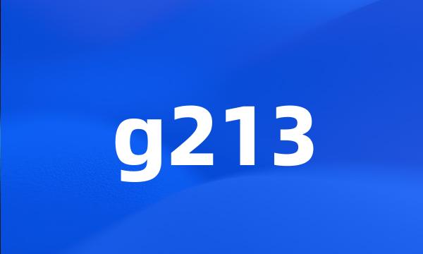 g213