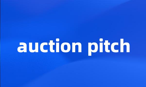 auction pitch