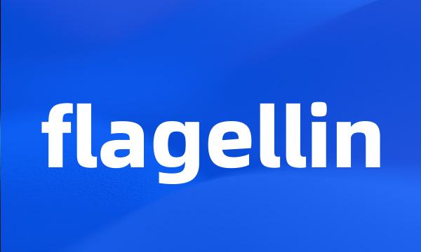 flagellin