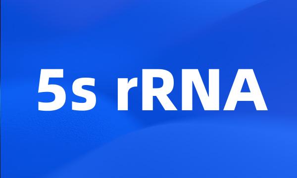 5s rRNA