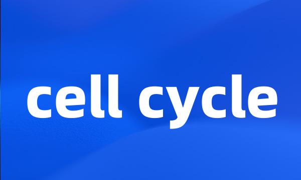 cell cycle