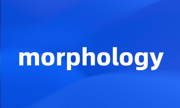 morphology