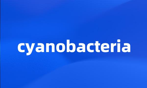 cyanobacteria