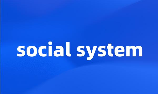 social system