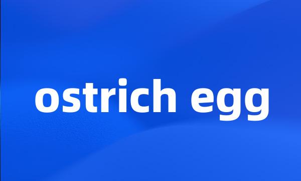 ostrich egg