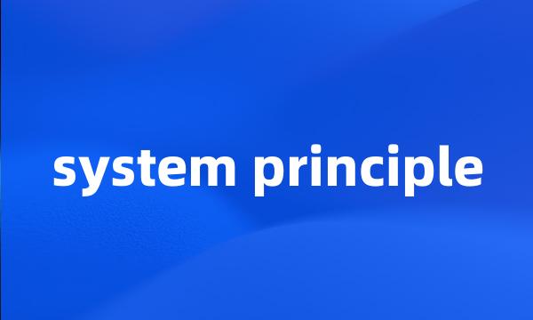 system principle