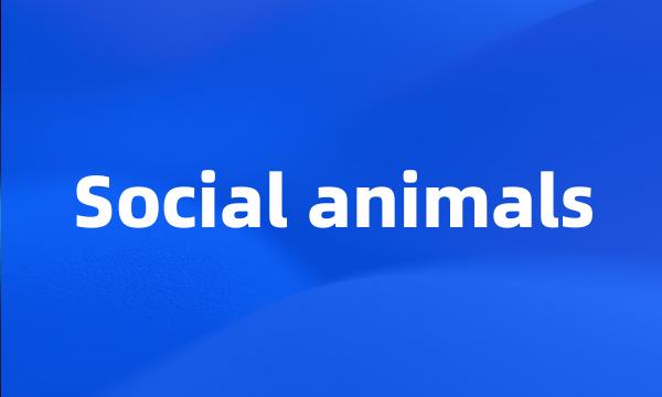 Social animals