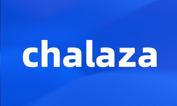 chalaza