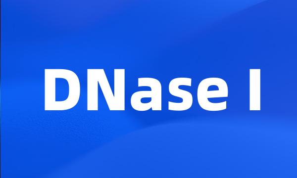 DNase I