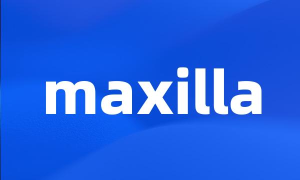 maxilla