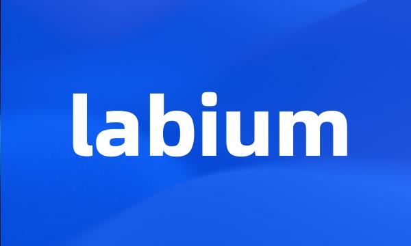 labium