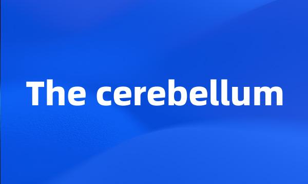 The cerebellum