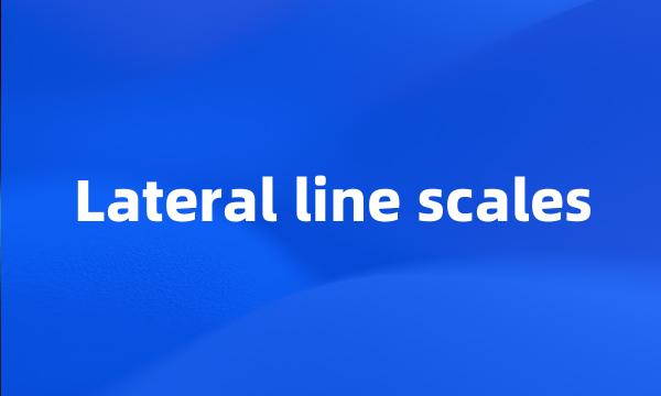 Lateral line scales