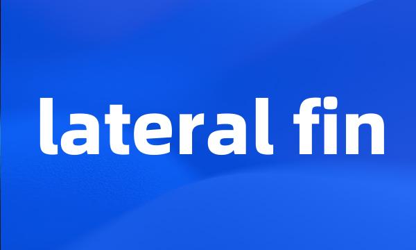 lateral fin