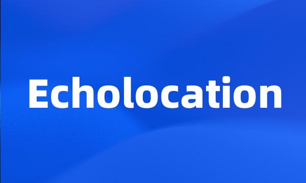 Echolocation