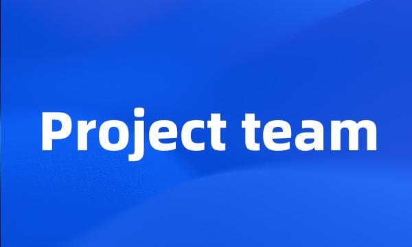 Project team