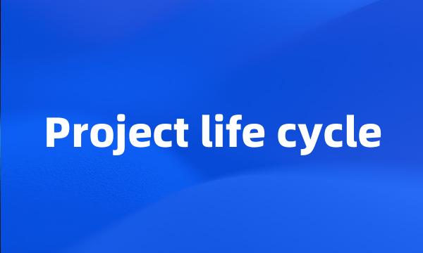 Project life cycle