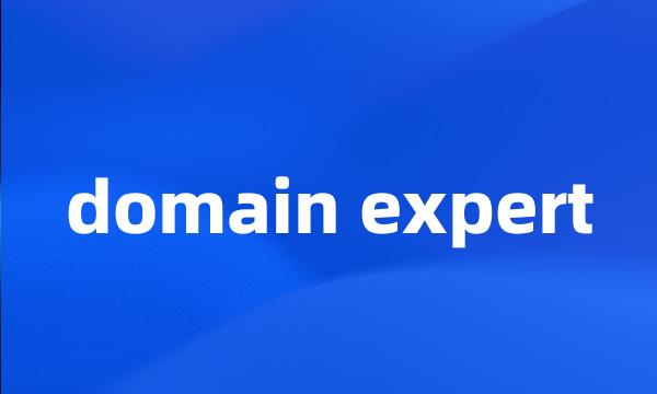 domain expert