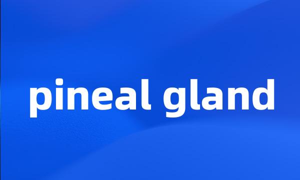 pineal gland