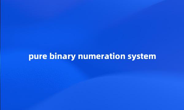 pure binary numeration system