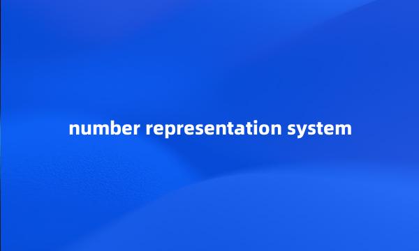 number representation system