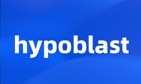 hypoblast