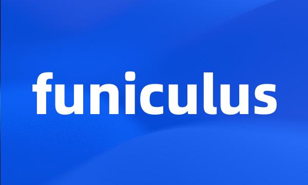 funiculus