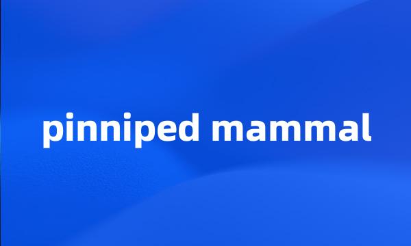 pinniped mammal