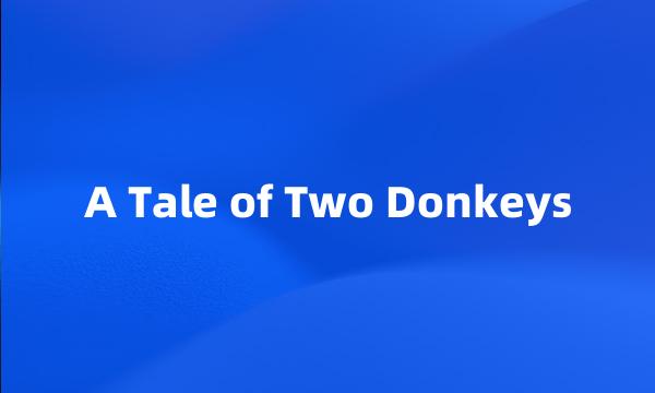 A Tale of Two Donkeys