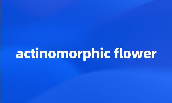 actinomorphic flower