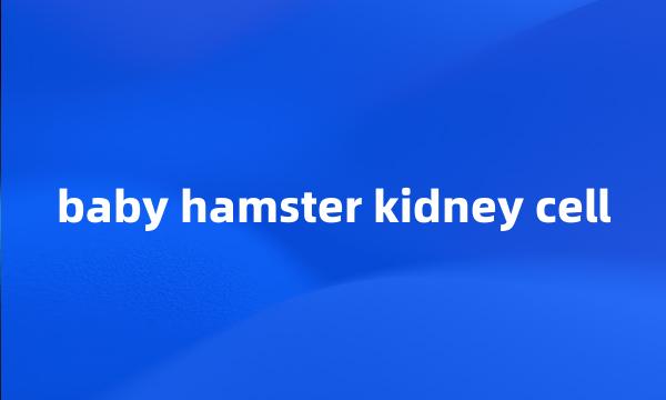 baby hamster kidney cell