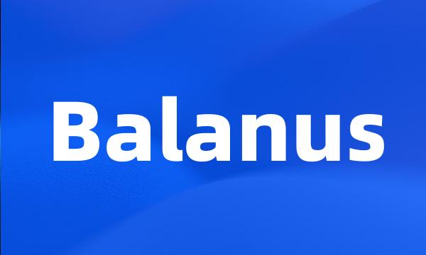 Balanus