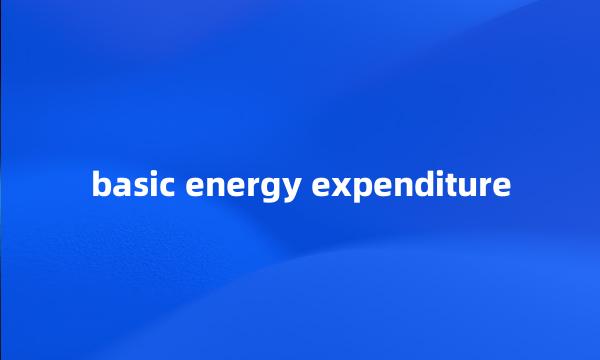 basic energy expenditure