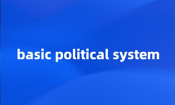 basic political system