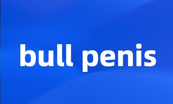 bull penis